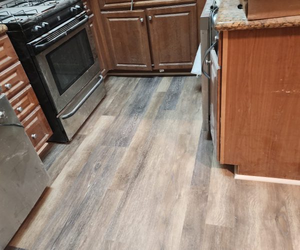 imgpsh_fullsize_anim (24)